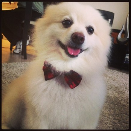 1474631_10151993262425675_413272977_n